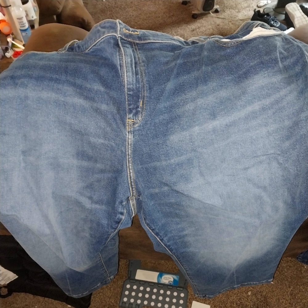 Lane bryant jeans